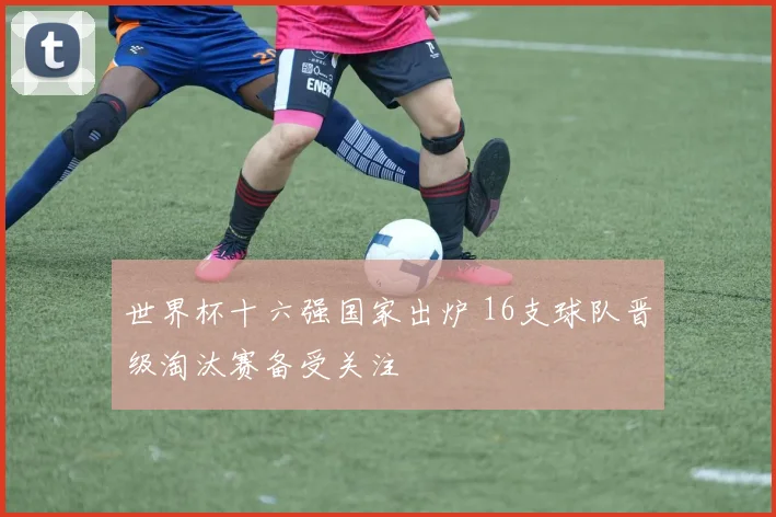 世界杯十六强国家出炉 16支球队晋级淘汰赛备受关注