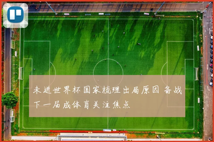 未进世界杯国家梳理出局原因 备战下一届成体育关注焦点