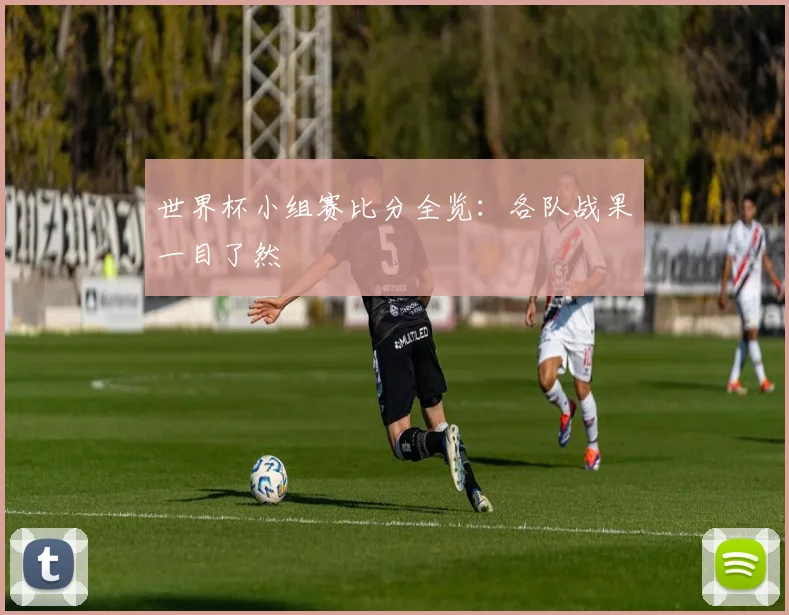 世界杯小组赛比分全览：各队战果一目了然