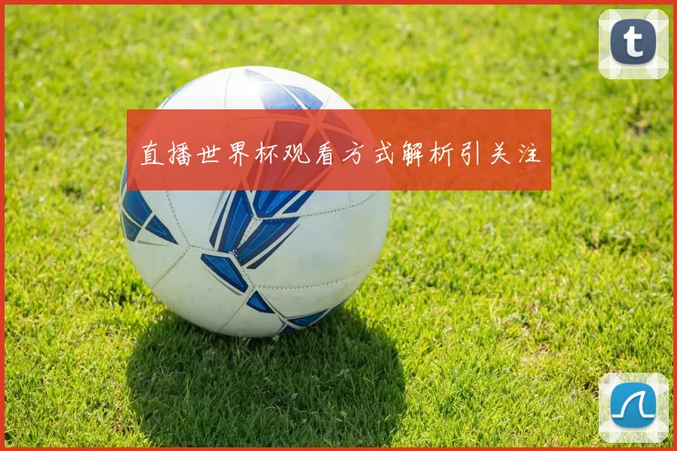 直播世界杯观看方式解析引关注