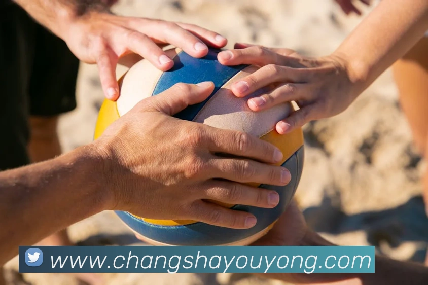 App Interface Preview